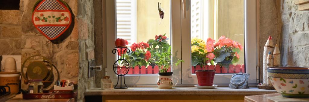 B&B Petra Trieste Eksteriør bilde